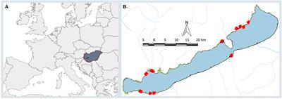 Monitoring Spatial Variability and Temporal Dynamics of Phragmites Using Unmanned Aerial Vehicles